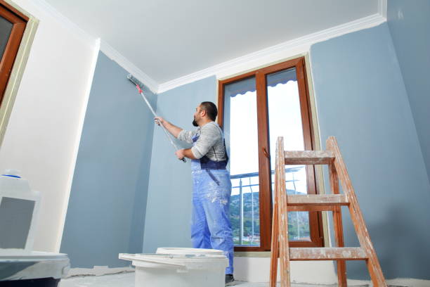 Best HVAC Mold Inspection and Cleaning  in Menasha, WI