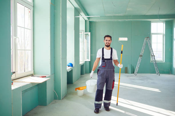 Best Basement Mold Removal  in Menasha, WI