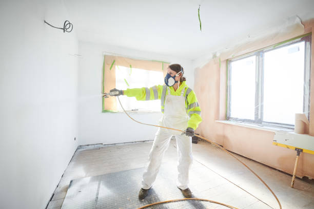Best Mold Odor Removal Services  in Menasha, WI