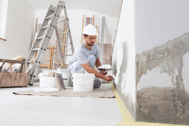 Best Mold Prevention Services  in Menasha, WI