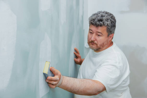 Best Residential Mold Inspection & Testing  in Menasha, WI