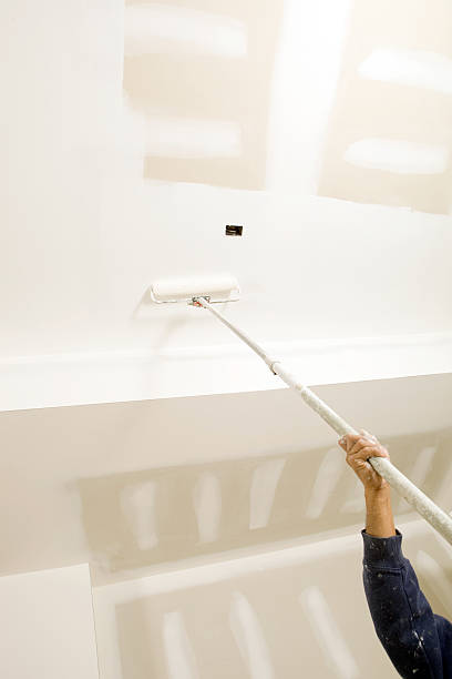 Best Environmental Consulting for Mold Prevention  in Menasha, WI