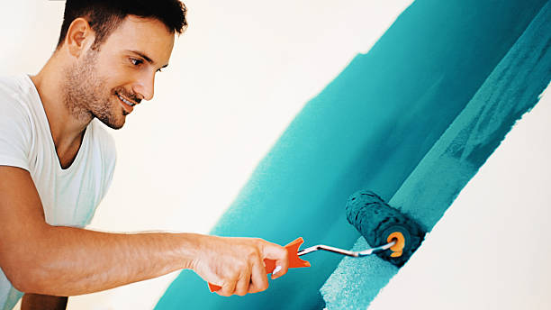 Menasha, WI Mold Removal Company